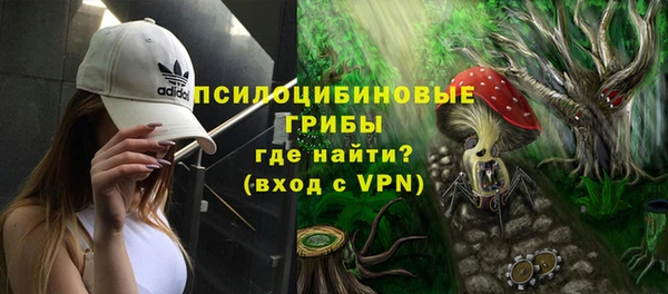 apvp Аркадак