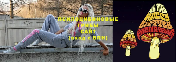 spice Армянск