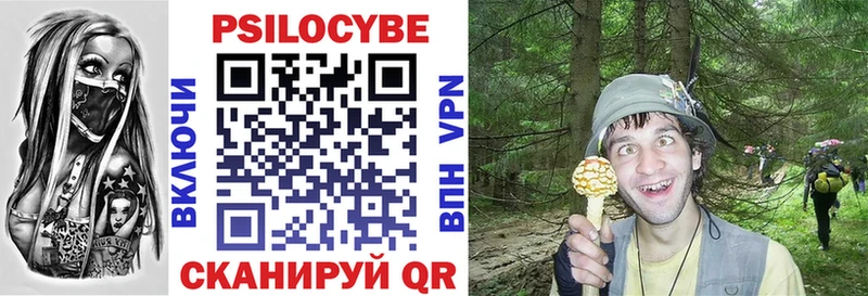 закладка  Певек  Галлюциногенные грибы мухоморы 